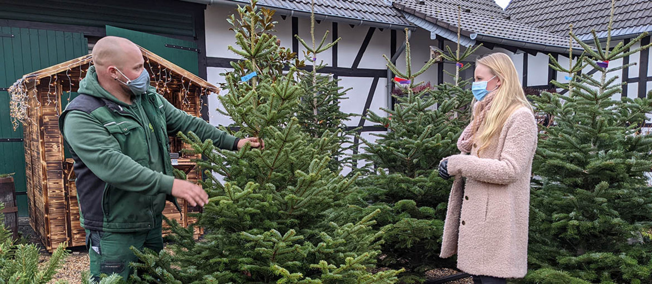 Mario Rödder berät eine Kunden beim Weihnachtsbaumkauf