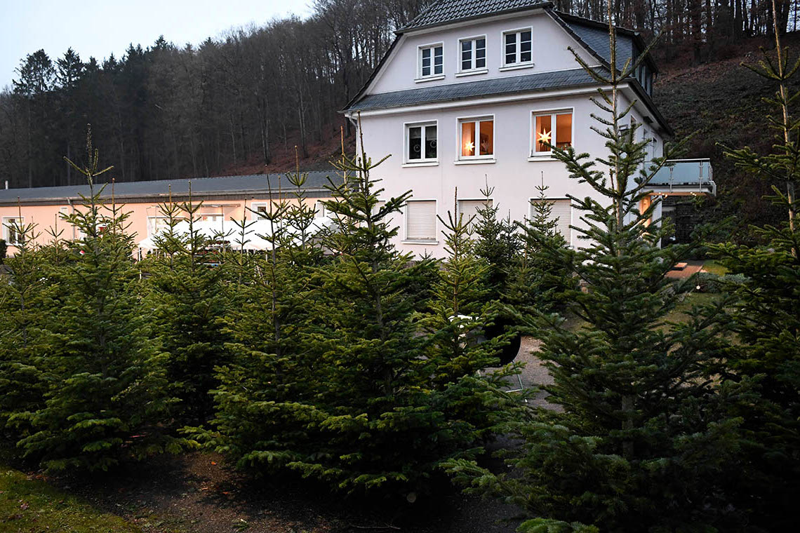 Weihnachtsbaumverkauf Eymold