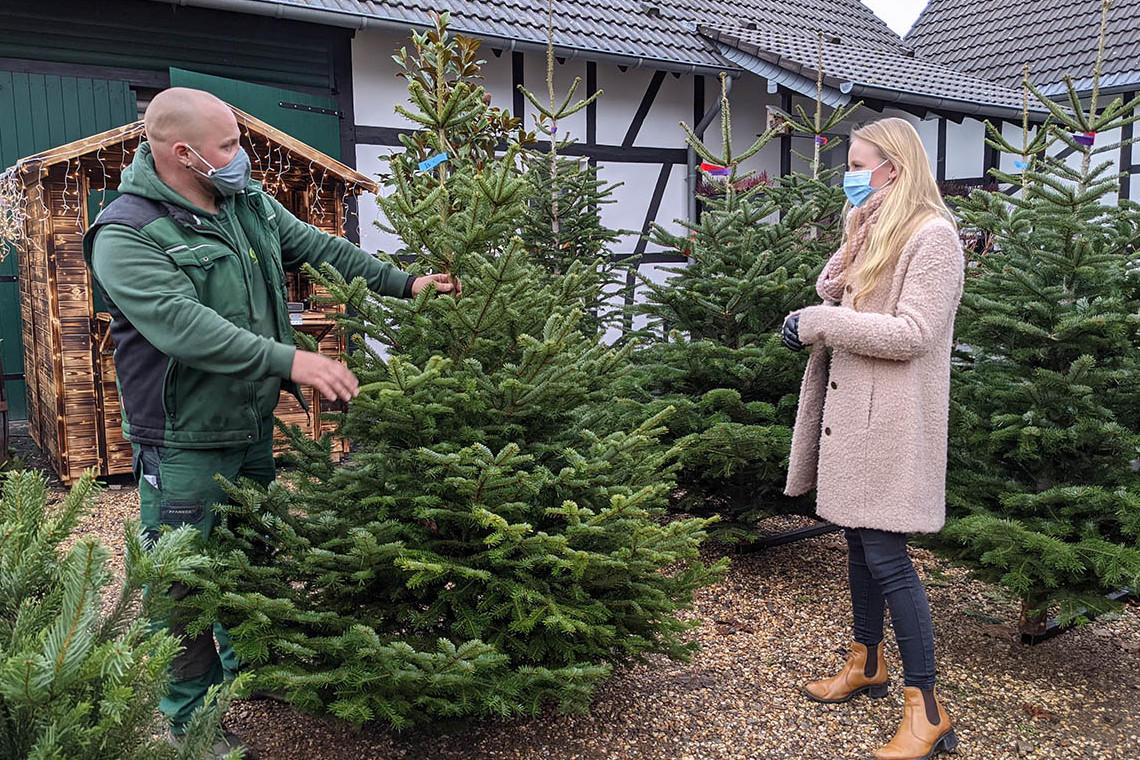 Mario Rödder berät eine Kunden beim Weihnachtsbaumkauf