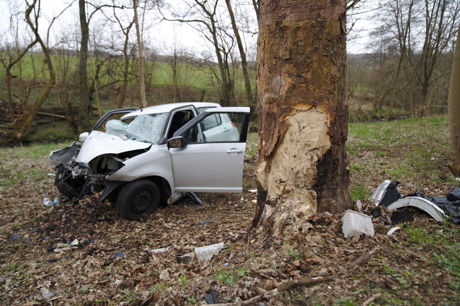 Einschlagstelle am Baum